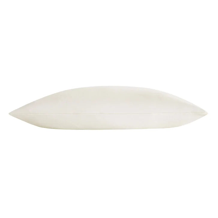 Duvet Allied Organic Cotton Cover Buckwheat Pillow