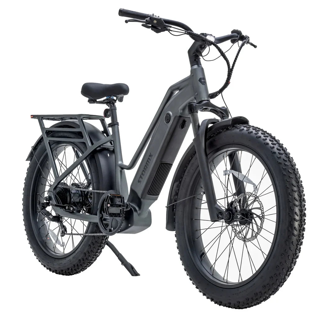 Favorite STORMX ST All-Terrain Fat Tire Ebike