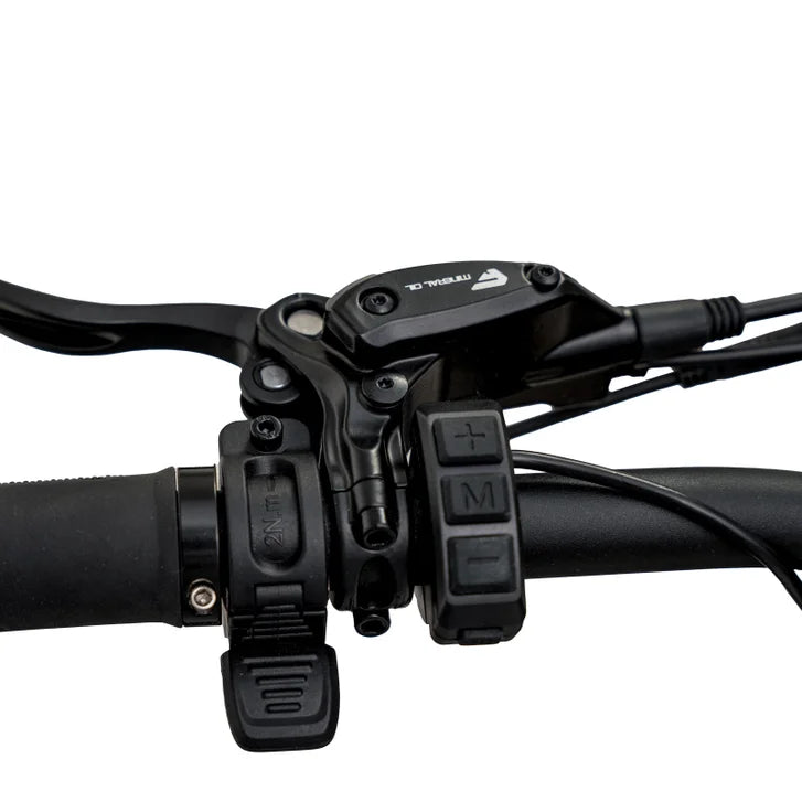 Favorite STORMX ST All-Terrain Fat Tire Ebike