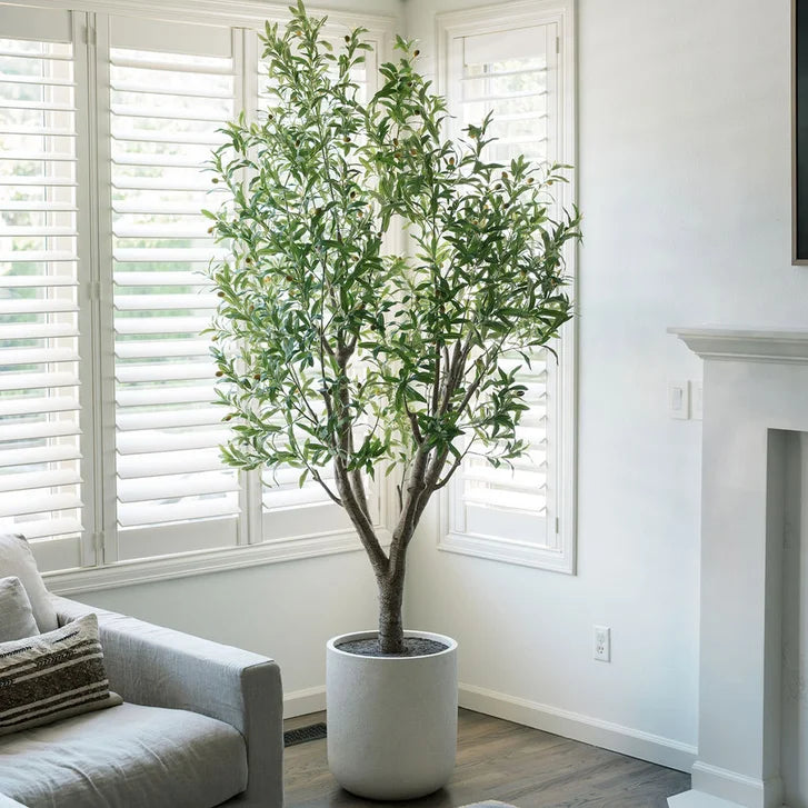 Faux Olive Tree 2.4 m (8 ft.)