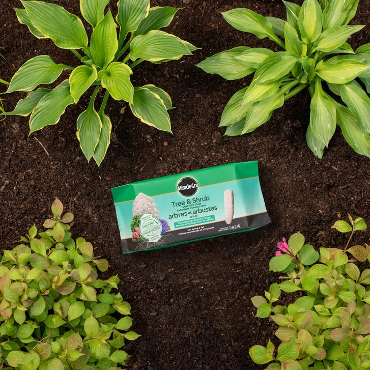 Miracle-Gro Tree & Shrub Fertilizer Spikes 15-5-10, 4 packs of 10