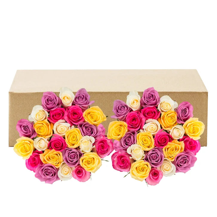 Roses, 48 Stems - Spring Quad