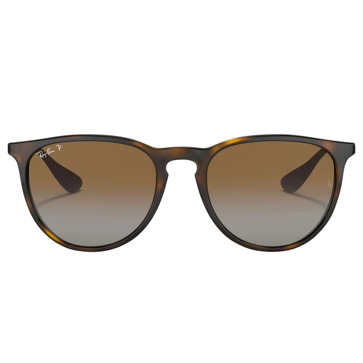 Ray-Ban Erika Classic RB4171 Polarized Sunglasses