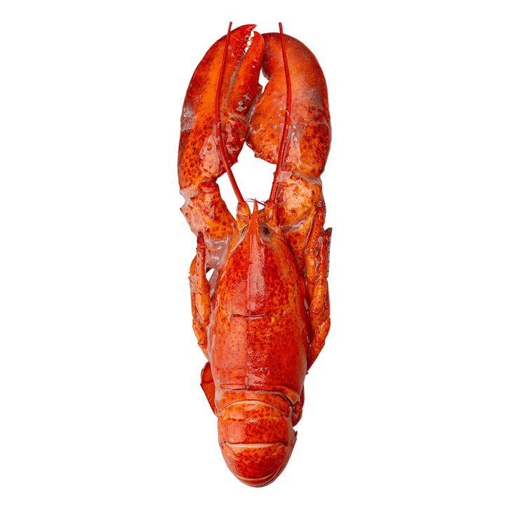 Blue Tide Frozen Wild Whole Cooked Lobster, 4.54 kg