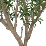 Faux Olive Tree 2.4 m (8 ft.)