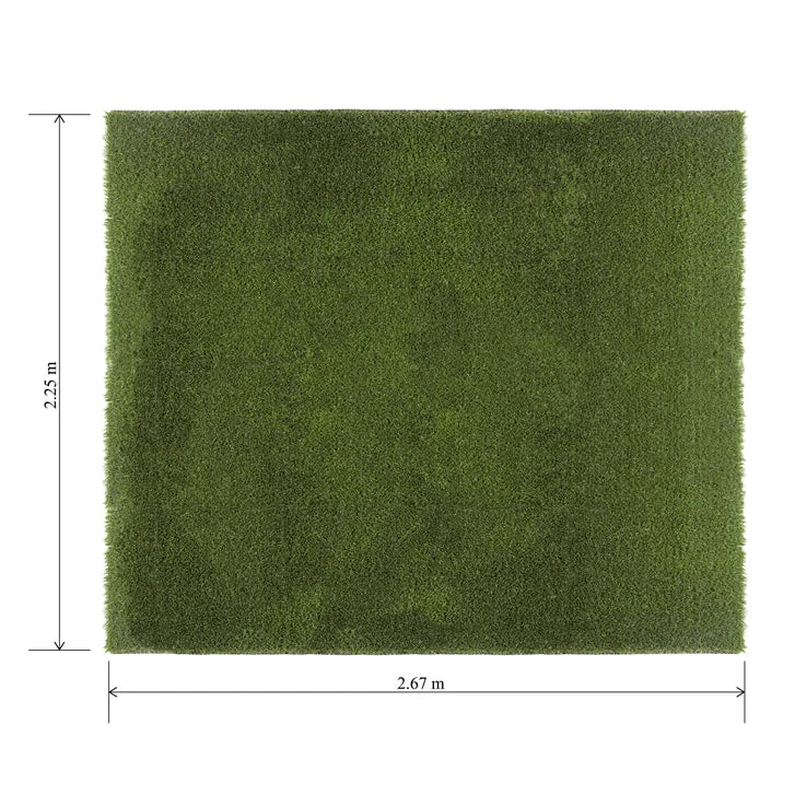 Golden Select Barley Artificial Grass 2.25x2.67 Roll
