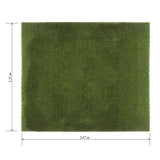 Golden Select Barley Artificial Grass 2.25x2.67 Roll