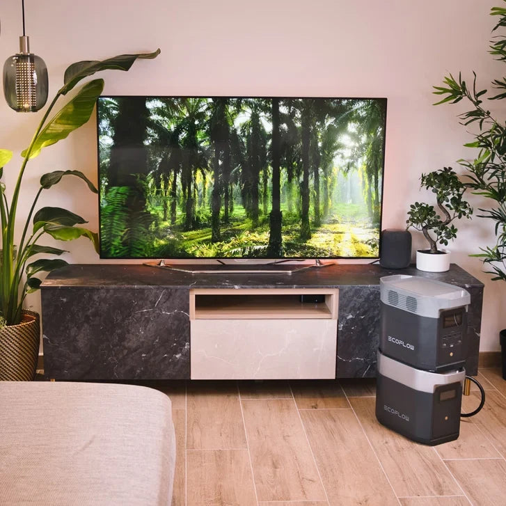 EcoFlow DELTA 2 and Extra Battery Bundle