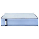 Sealy Posturepedic Plus Prosser Hills 30.5 cm (12 in.) Firm Mattress