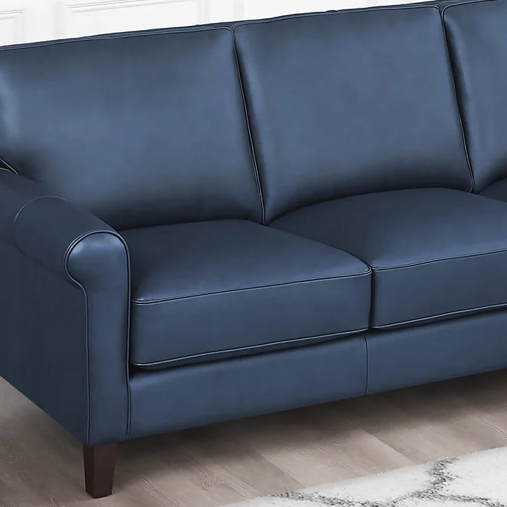 Prospera Home Larsen Top Grain Leather Sofa