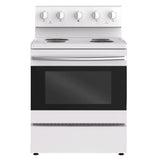 Element 30 in. 5.0 cu ft. Electric Range with Adjustable Oven Rack