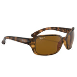 Ray-Ban RB4068 Polarized Sunglasses