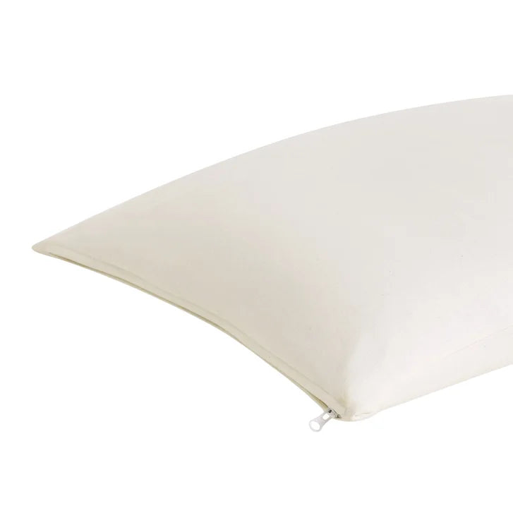 Duvet Allied Organic Cotton Cover Buckwheat Pillow