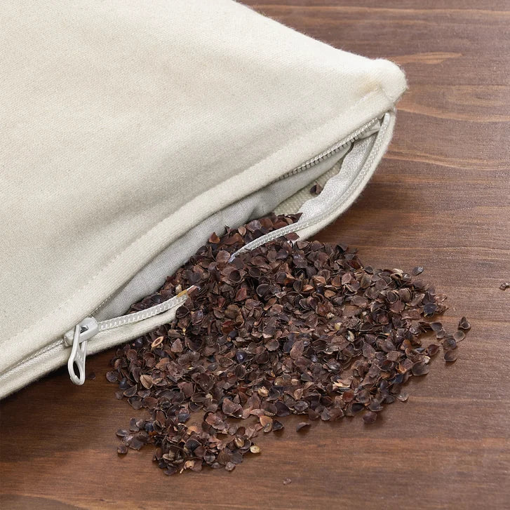 Duvet Allied Organic Cotton Cover Buckwheat Pillow