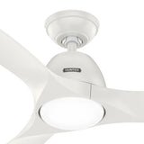 Hunter Fan Triflow 52 in. Indoor/Outdoor Ceiling Fan