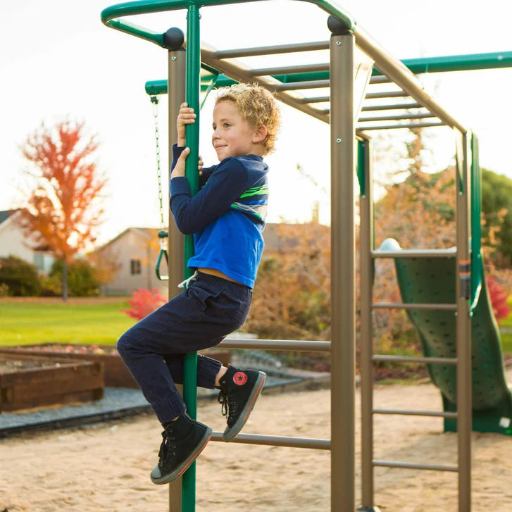 Lifetime Monkey Bar Adventure Swing Set