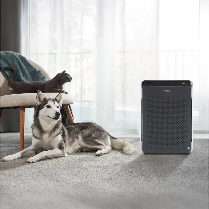 Winix C909 4-Stage Air Purifier with WIFI and PlasmaWave Technology