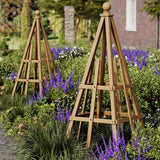 Vita - Cedar Obelisk 2-Pack