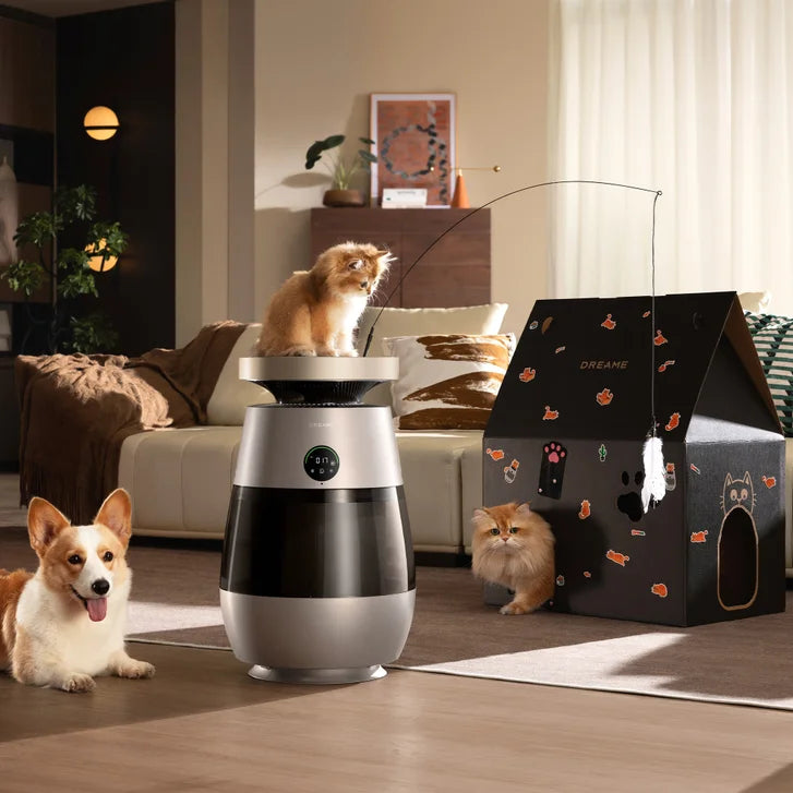 Dreame AP10 Pet Air Purifier
