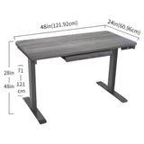 Motionwise 121.9 cm x 61 cm (48 in. x 24 in.) Height Adjustable Desk