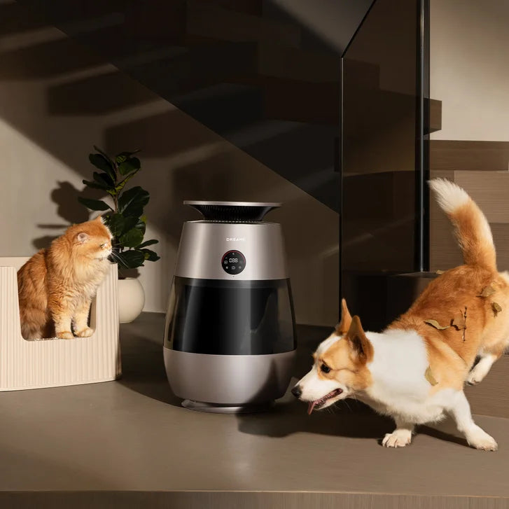 Dreame AP10 Pet Air Purifier