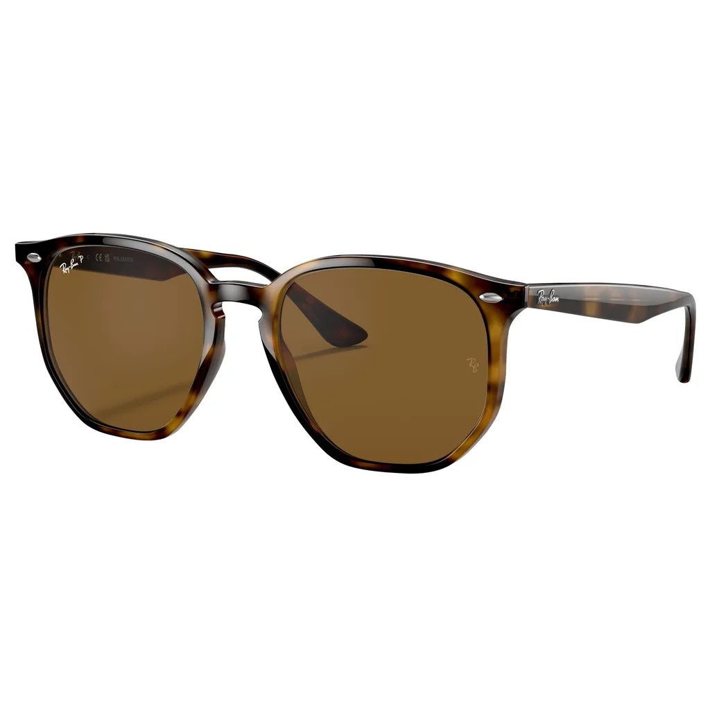 Ray-Ban 0RB4306 Polarized Sunglasses