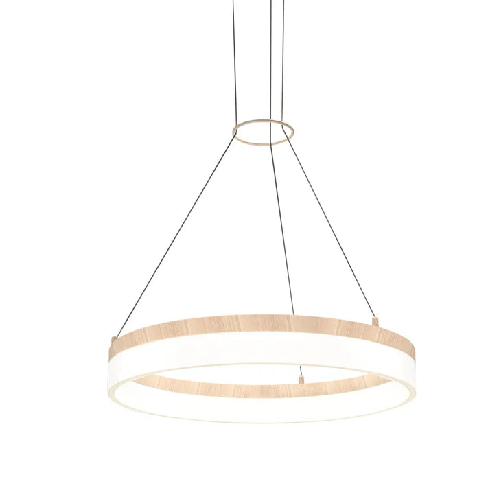 Artika Optical Ring LED Pendant Light Fixture