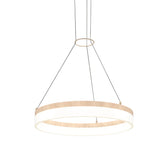 Artika Optical Ring LED Pendant Light Fixture