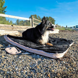4 Cats & Dogs Gus Portable Travel Bed with Foldable Design and Water-Resistant Cover