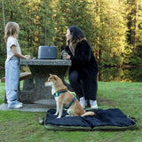 4 Cats & Dogs Gus Portable Travel Bed with Foldable Design and Water-Resistant Cover