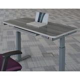 Motionwise 121.9 cm x 61 cm (48 in. x 24 in.) Height Adjustable Desk