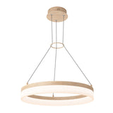 Artika Optical Ring LED Pendant Light Fixture