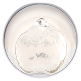 Catit Pixi Fountain with Stainless Steel Top and Catit Pixi Dish, White with 6 Filters
