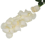 Bulk Rose Petals, Over 3,000 Petals