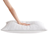 Beautyrest Platinum Feather and Down Pillow, 2-pack