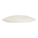 Duvet Allied Organic Cotton Cover Buckwheat Pillow