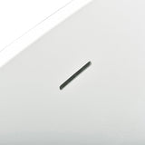 Appollo Amber 62 in. Freestanding Bathtub