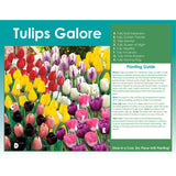 Horticana: Tulips Galore