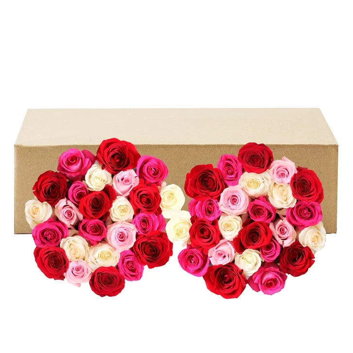 Roses, 48 Stems - Shades of Pink
