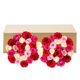 Roses, 48 Stems - Shades of Pink