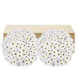 Pom Daisy, 60-stem