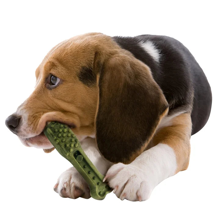 Kirkland Signature Dental Chews Dog Treats, 72-count (1.9 kg)