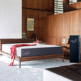 Cocoon by Sealy 25.4 cm (10 in.) Memory Foam King Mattress