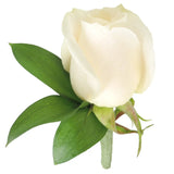 Romantic Rose Bridal Collection