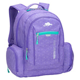 Roots - 38L Backpack with 16" Laptop Compartment