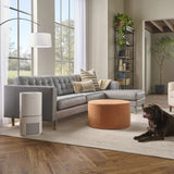 Frigidaire HEPA Air Purifier XL with WiFi