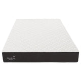 Cocoon by Sealy 25.4 cm (10 in.) Memory Foam King Mattress