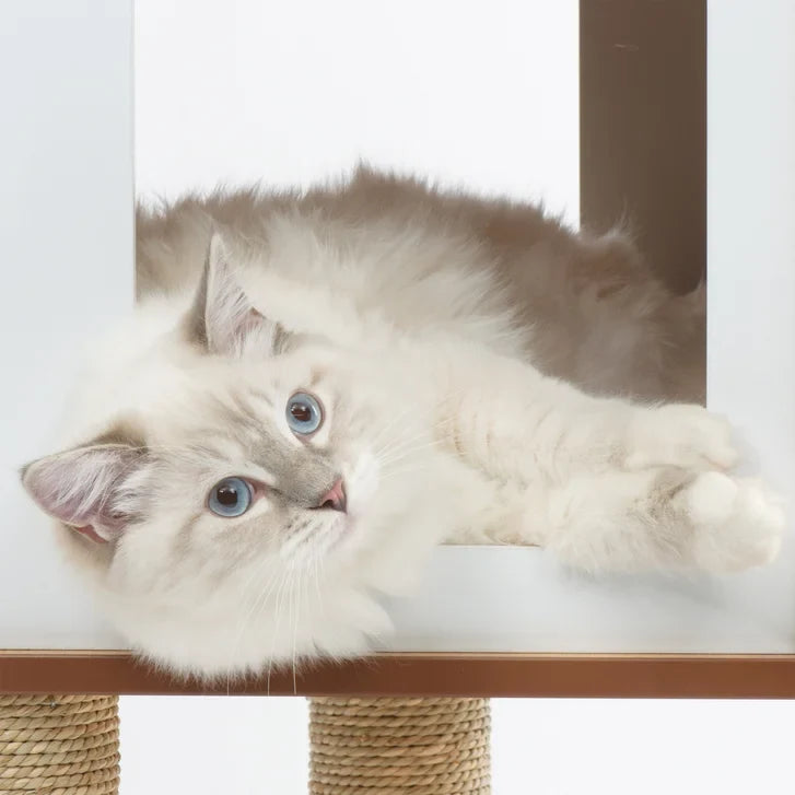 Catit Vesper High Base XL