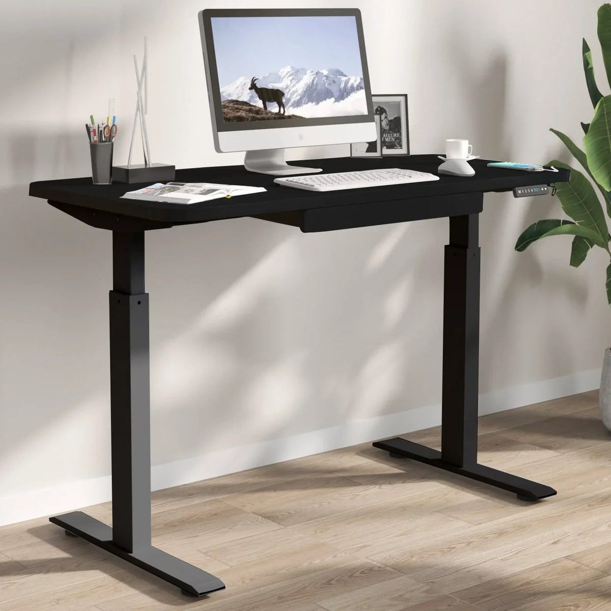Motionwise 121.9 cm x 61 cm (48 in. x 24 in.) Height Adjustable Desk