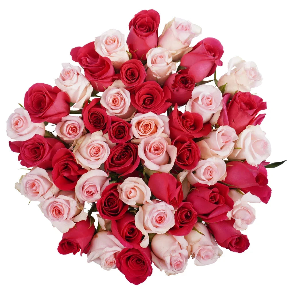 Roses, 48 Stems - Hot Pink & Pink